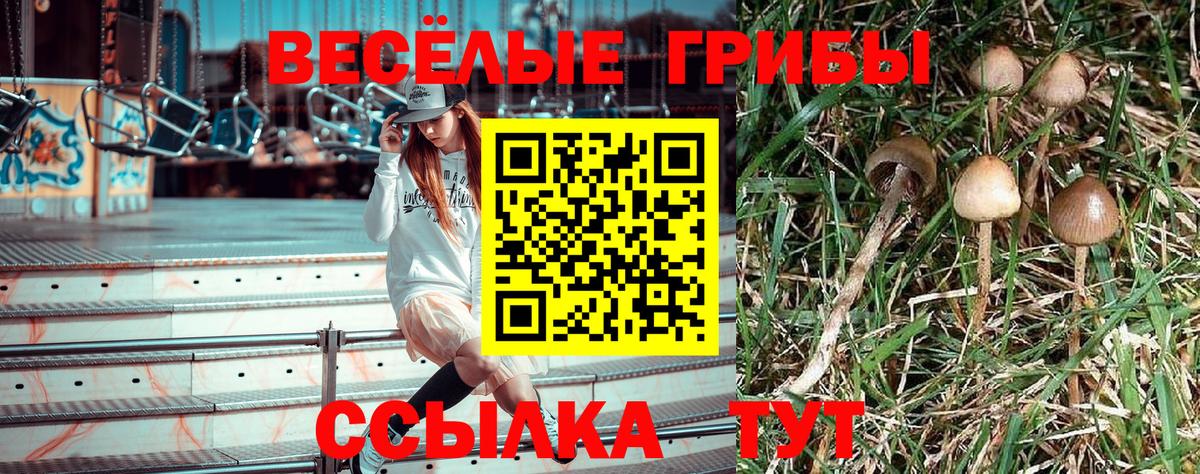 Фрязино  Псилоцибиновые грибы GOLDEN TEACHER  Вход с VPN 