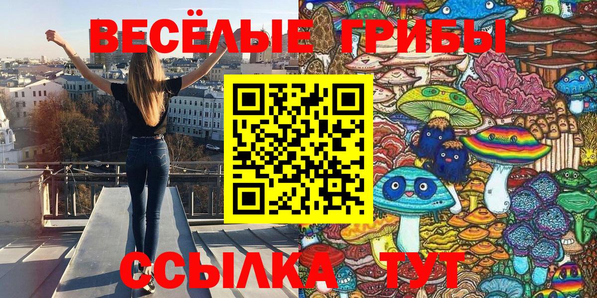Псилоцибиновые грибы GOLDEN TEACHER Фрязино
